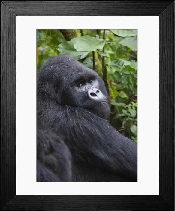Framed Print : Picture No. 10895870 Framed Print : Picture No. 10895870