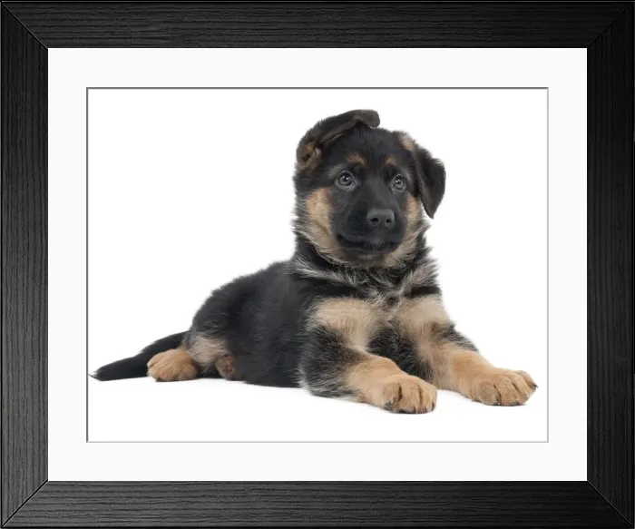 Framed Print : Picture No. 10895242 Framed Print : Picture No. 10895242
