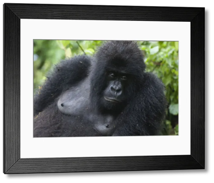 Framed Print : Picture No. 10895879 Framed Print : Picture No. 10895879