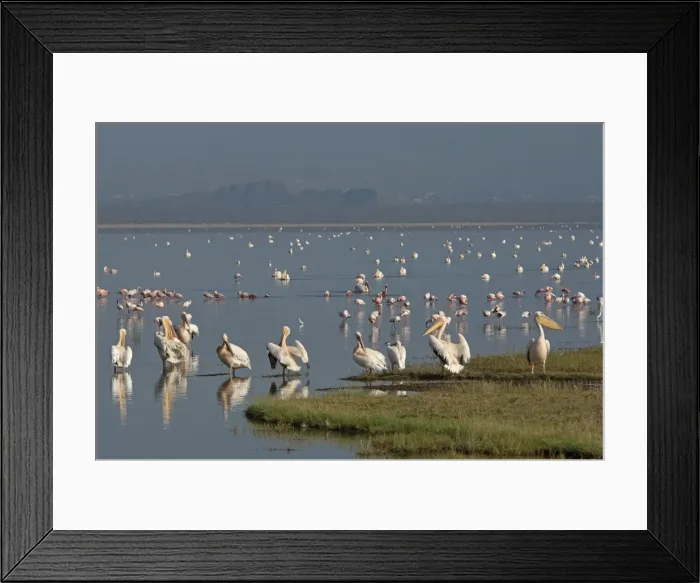 Framed Print : Picture No. 10895679