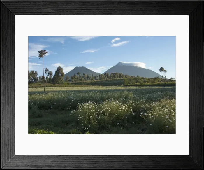 Framed Print : Picture No. 10895841 Framed Print : Picture No. 10895841