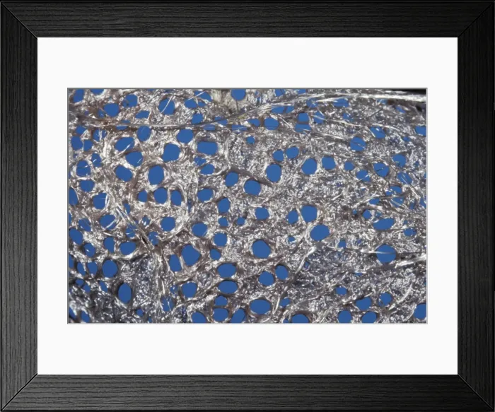 Framed Print : Picture No. 10896009 Framed Print : Picture No. 10896009