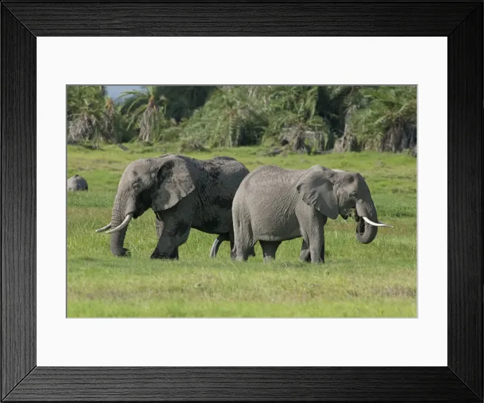 Framed Print : Picture No. 10895665 Framed Print : Picture No. 10895665