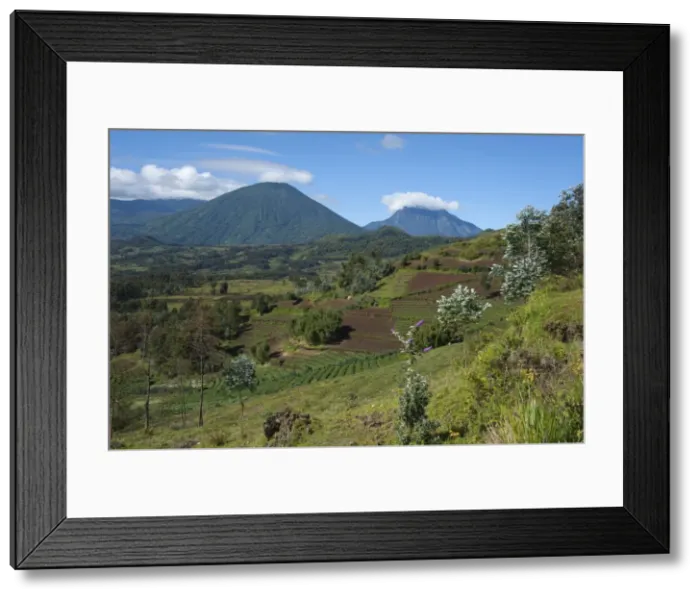 Framed Print : Picture No. 10895844 Framed Print : Picture No. 10895844