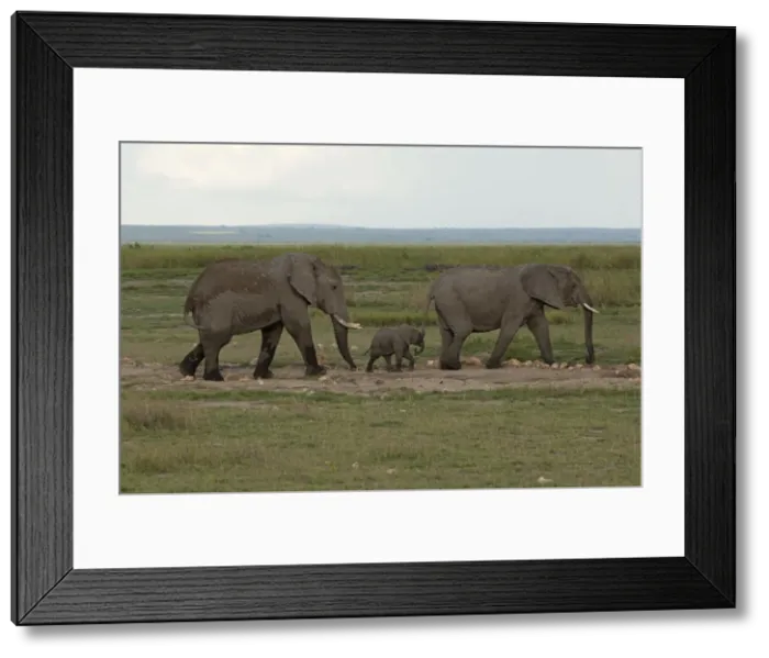 Framed Print : Picture No. 10895672 Framed Print : Picture No. 10895672