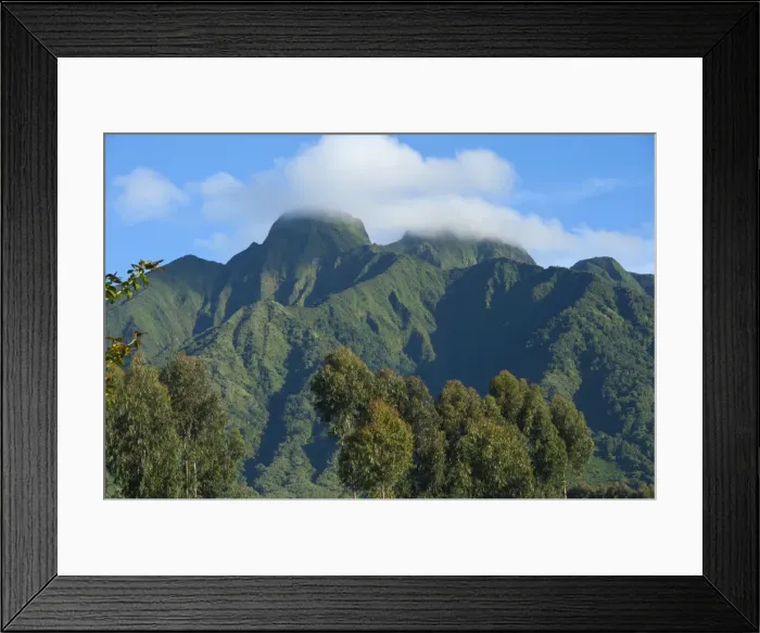 Framed Print : Picture No. 10895842 Framed Print : Picture No. 10895842