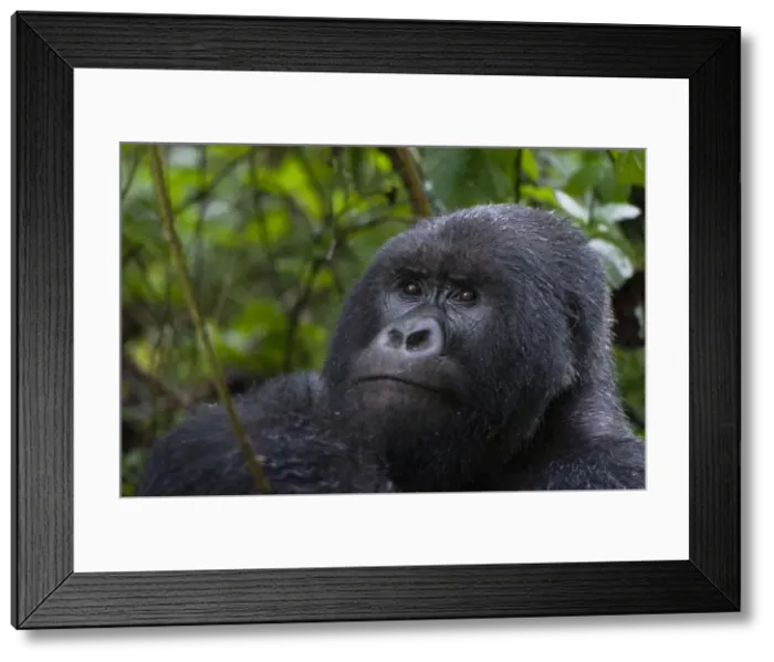Framed Print : Picture No. 10895875 Framed Print : Picture No. 10895875