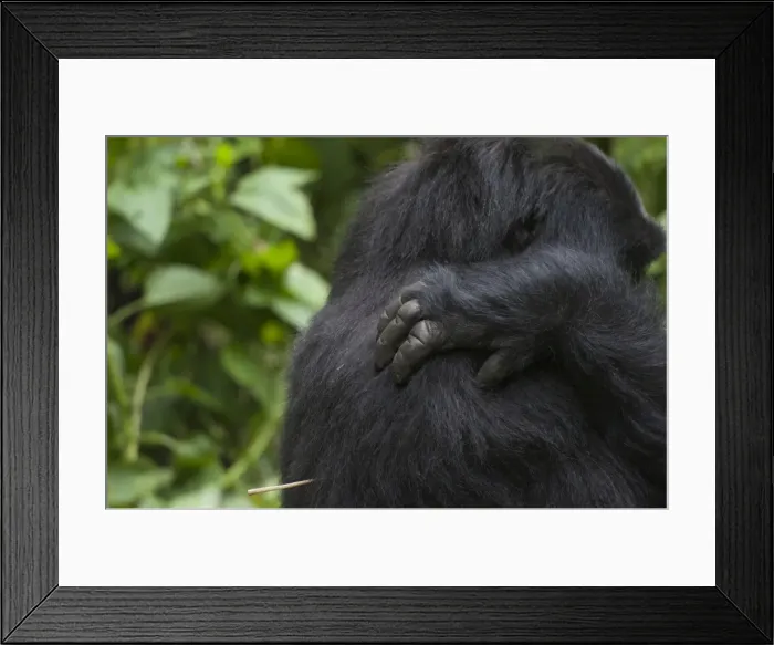 Framed Print : Picture No. 10895850 Framed Print : Picture No. 10895850