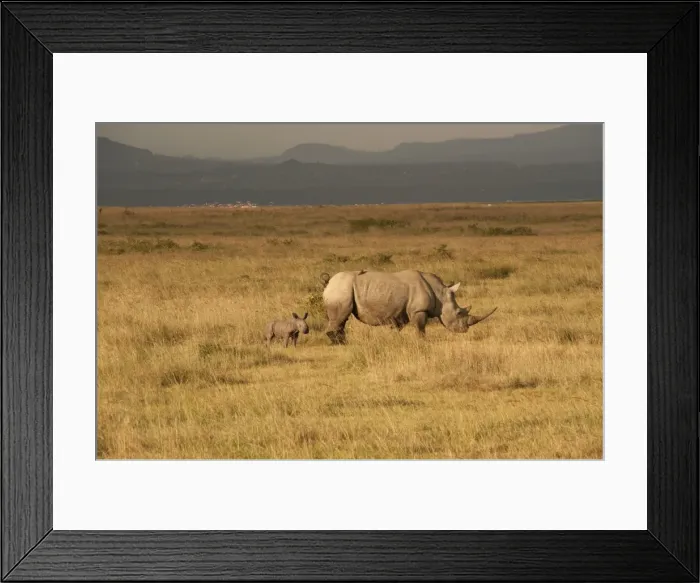 Framed Print : Picture No. 10895655 Framed Print : Picture No. 10895655