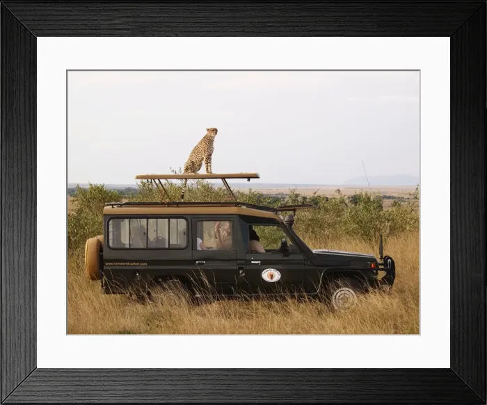 Framed Print : Picture No. 10894944 Framed Print : Picture No. 10894944