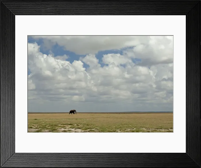 Framed Print : Picture No. 10895674 Framed Print : Picture No. 10895674