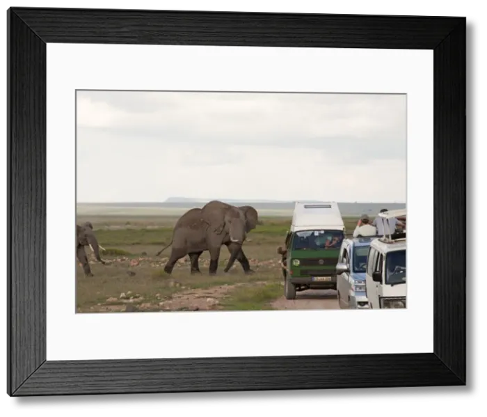 Framed Print : Picture No. 10895669 Framed Print : Picture No. 10895669
