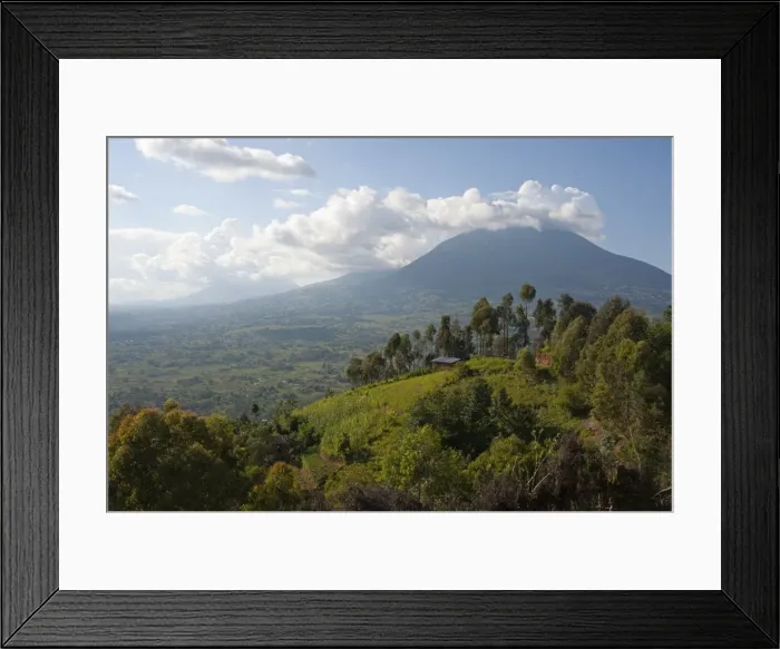 Framed Print : Picture No. 10895856 Framed Print : Picture No. 10895856