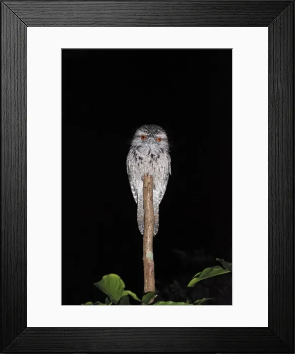 Framed Print : Picture No. 10894913 Framed Print : Picture No. 10894913