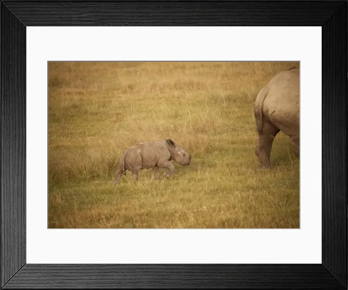 Framed Print : Picture No. 10895656 Framed Print : Picture No. 10895656