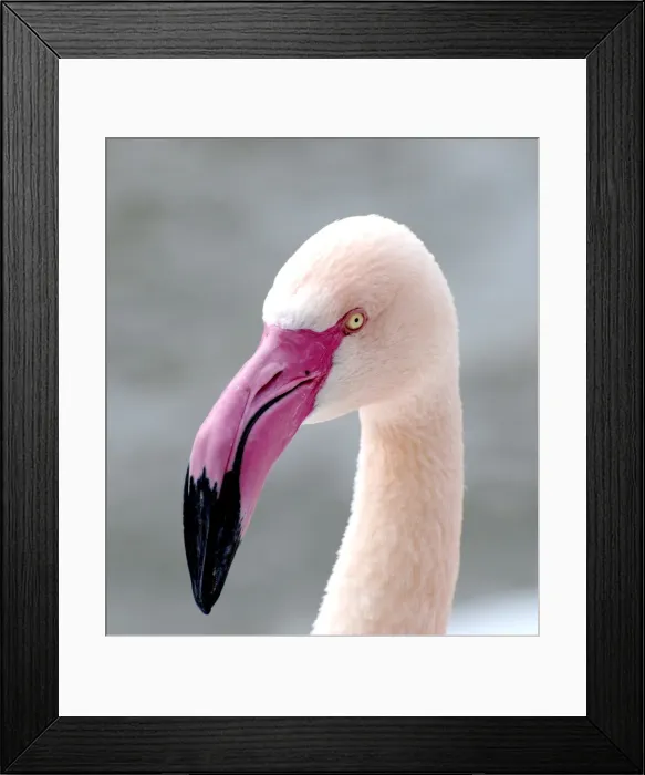 Framed Print : Picture No. 10894911 Framed Print : Picture No. 10894911