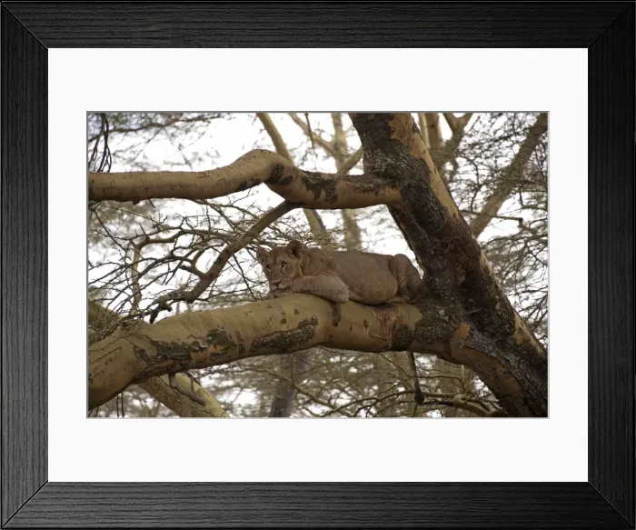 Framed Print : Picture No. 10895653 Framed Print : Picture No. 10895653