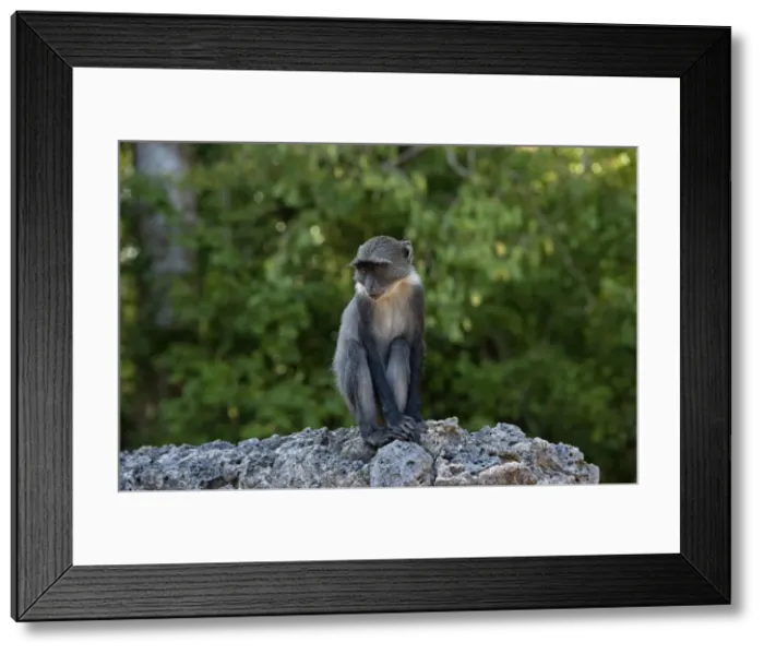 Framed Print : Picture No. 10895840 Framed Print : Picture No. 10895840