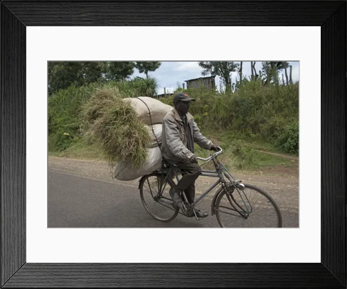 Framed Print : Picture No. 10895648