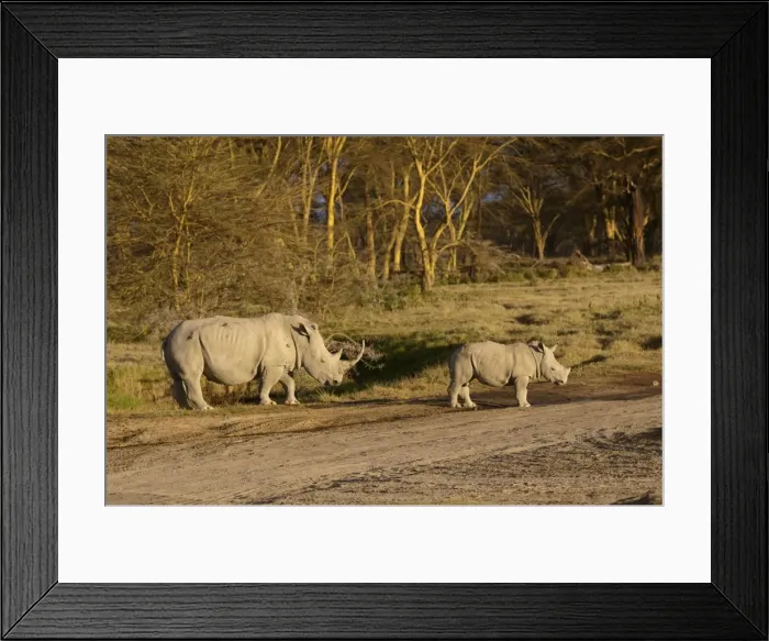 Framed Print : Picture No. 10895678 Framed Print : Picture No. 10895678