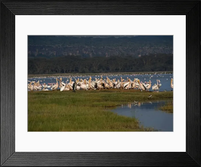 Framed Print : Picture No. 10895650 Framed Print : Picture No. 10895650