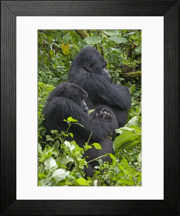 Framed Print : Picture No. 10895867 Framed Print : Picture No. 10895867