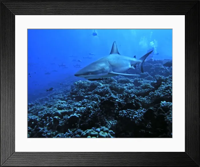 Framed Print : Picture No. 10767554 Framed Print : Picture No. 10767554