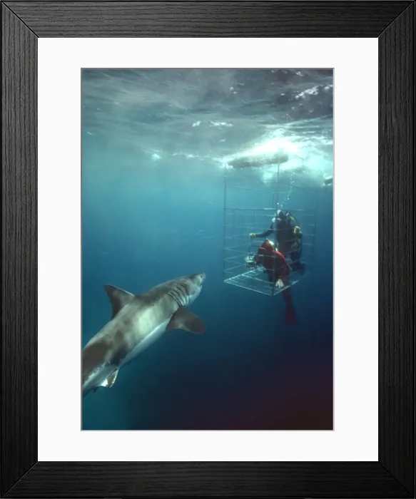 Framed Print : Picture No. 10767498 Framed Print : Picture No. 10767498