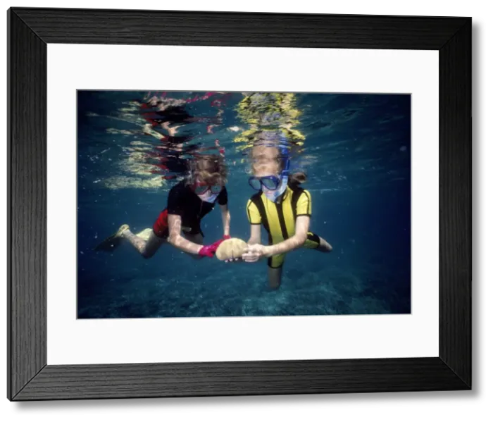 Framed Print : Picture No. 10767271 Framed Print : Picture No. 10767271