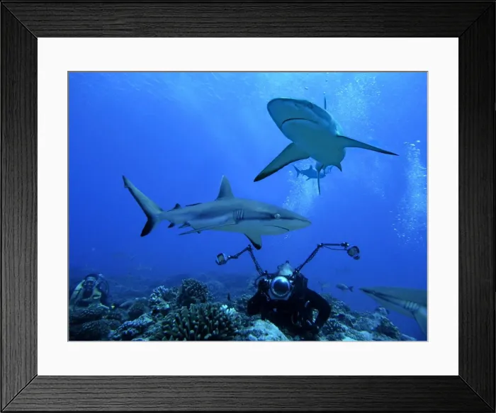 Framed Print : Picture No. 10767532 Framed Print : Picture No. 10767532