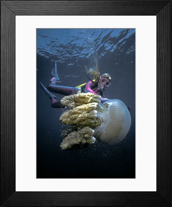 Framed Print : Picture No. 10767506 Framed Print : Picture No. 10767506