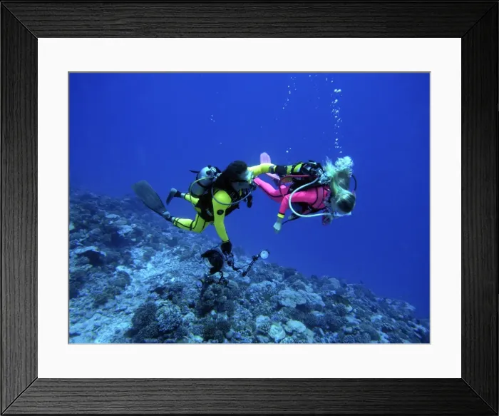 Framed Print : Picture No. 10767544 Framed Print : Picture No. 10767544