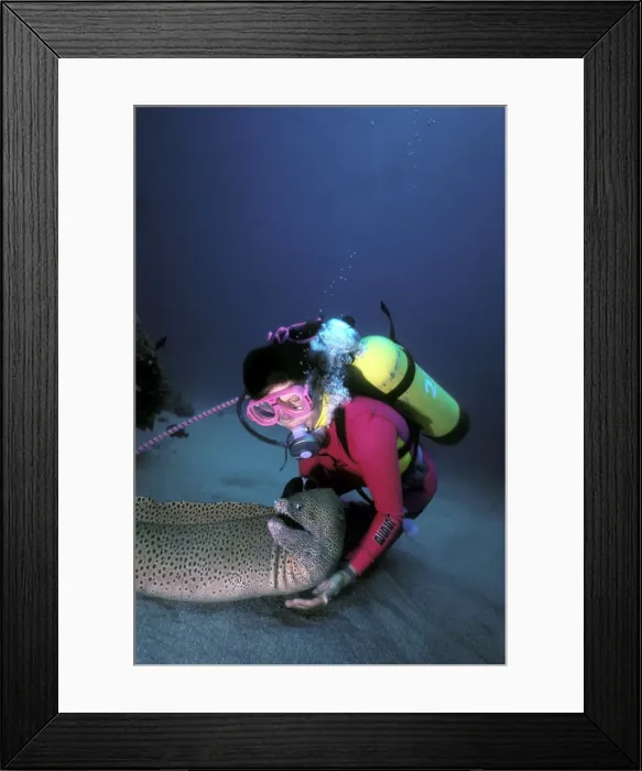 Framed Print : Picture No. 10767501 Framed Print : Picture No. 10767501