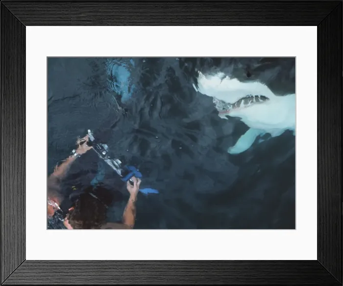 Framed Print : Picture No. 10767515
