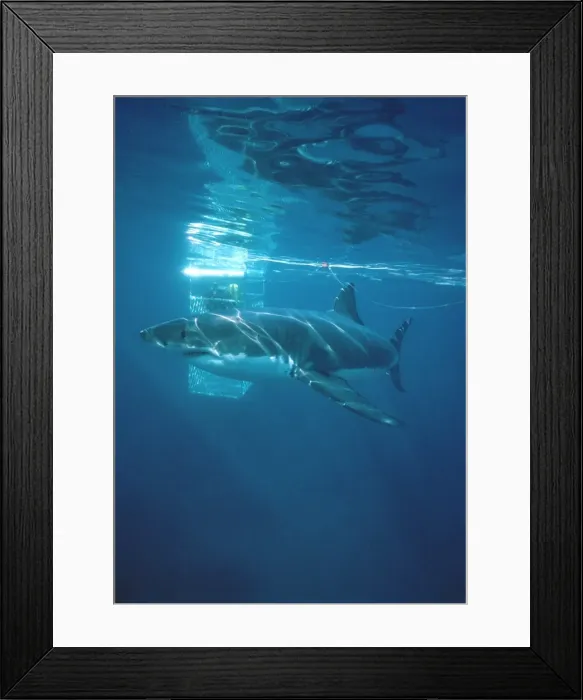 Framed Print : Picture No. 10767488 Framed Print : Picture No. 10767488