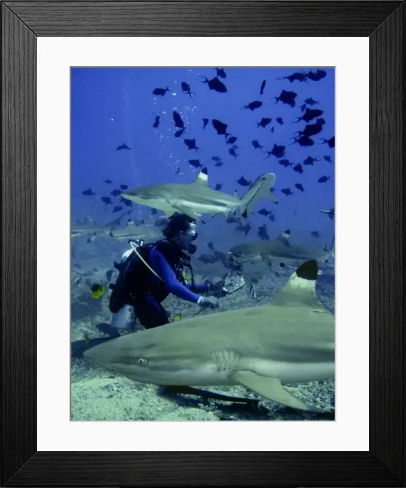 Framed Print : Picture No. 10767570 Framed Print : Picture No. 10767570