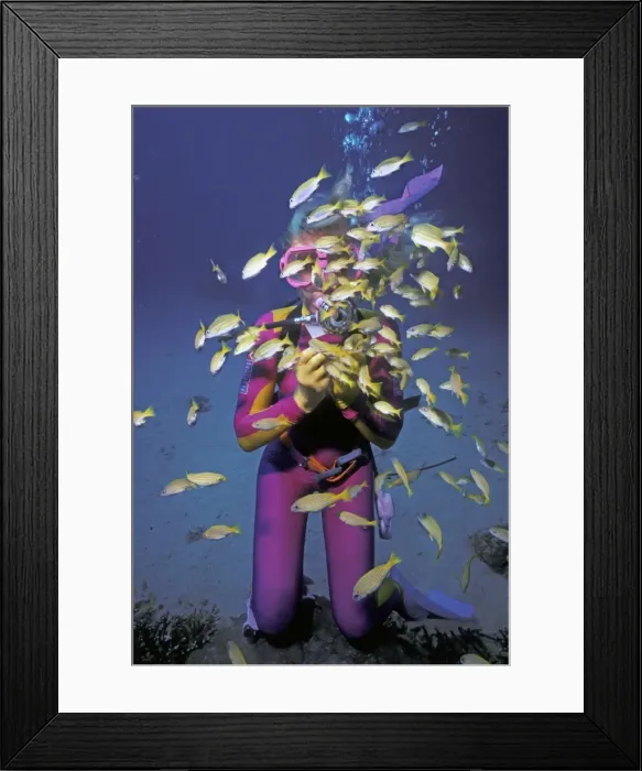 Framed Print : Picture No. 10767519 Framed Print : Picture No. 10767519