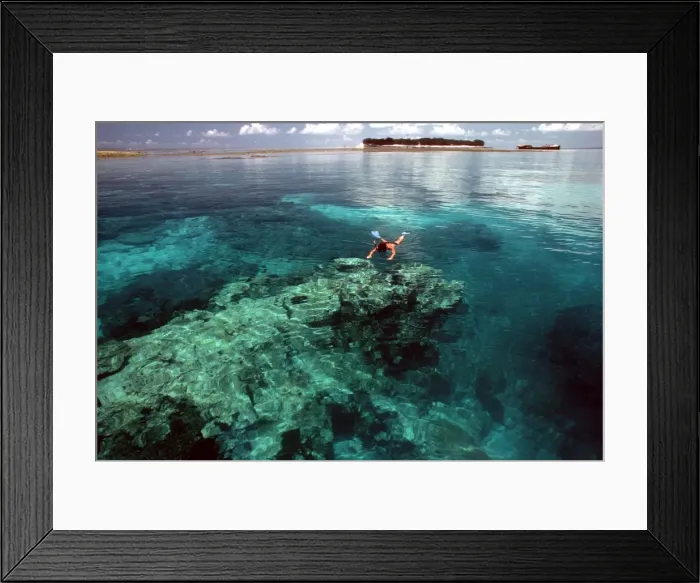 Framed Print : Picture No. 10767548 Framed Print : Picture No. 10767548