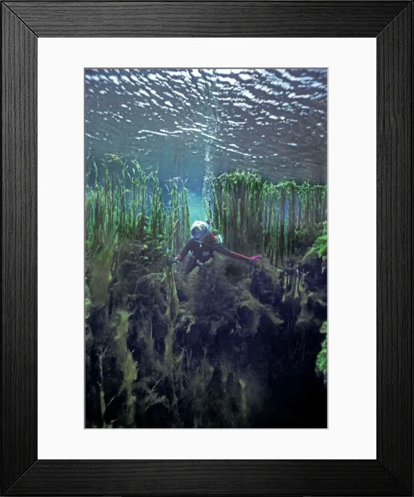 Framed Print : Picture No. 10767516 Framed Print : Picture No. 10767516
