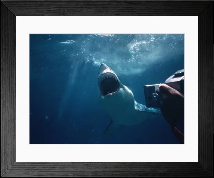Framed Print : Picture No. 10767512 Framed Print : Picture No. 10767512
