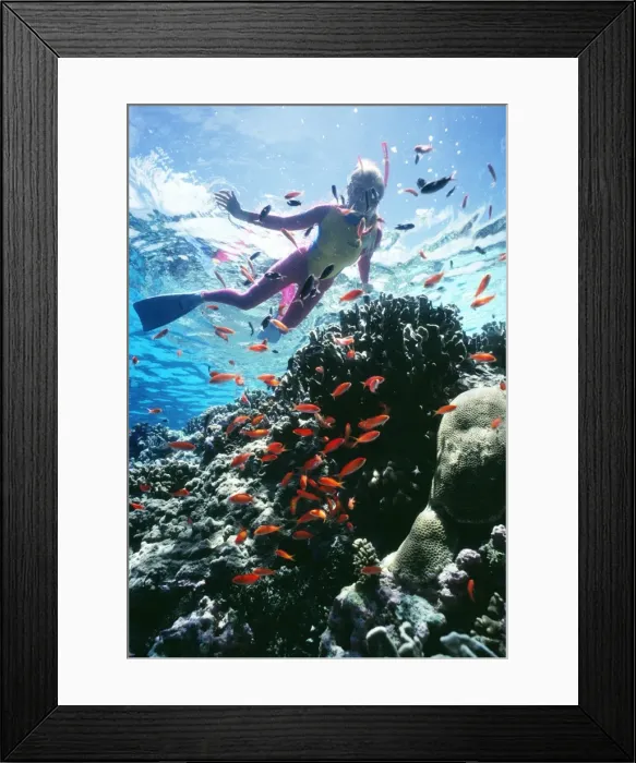 Framed Print : Picture No. 10767290 Framed Print : Picture No. 10767290