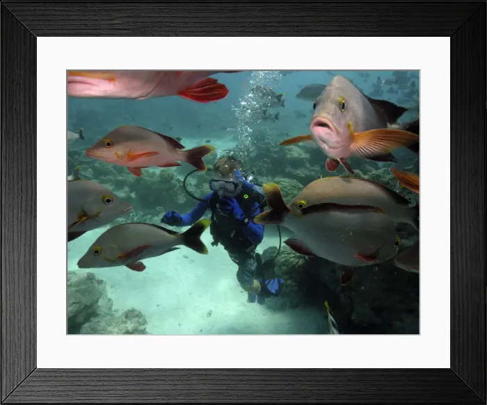 Framed Print : Picture No. 10767525 Framed Print : Picture No. 10767525