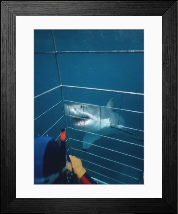 Framed Print : Picture No. 10767480 Framed Print : Picture No. 10767480