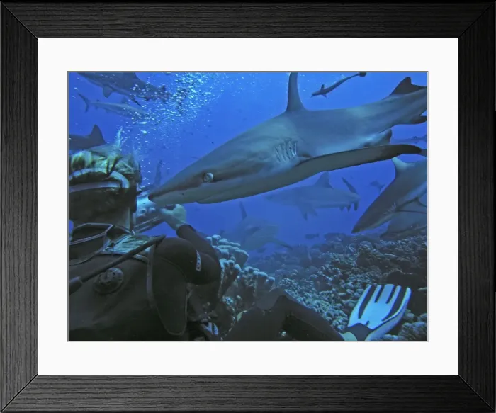 Framed Print : Picture No. 10767558 Framed Print : Picture No. 10767558