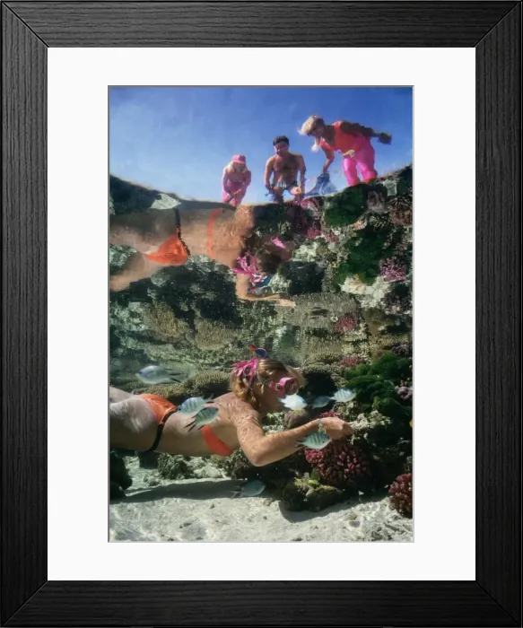 Framed Print : Picture No. 10767388 Framed Print : Picture No. 10767388