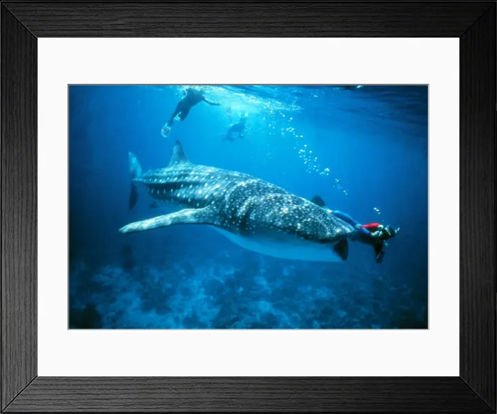 Framed Print : Picture No. 10767332 Framed Print : Picture No. 10767332