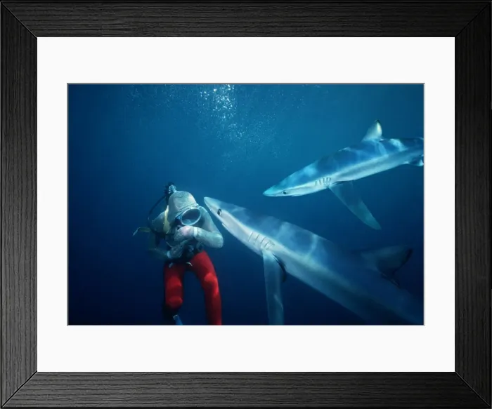 Framed Print : Picture No. 10767586 Framed Print : Picture No. 10767586