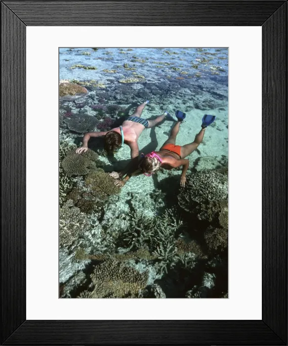 Framed Print : Picture No. 10767540 Framed Print : Picture No. 10767540