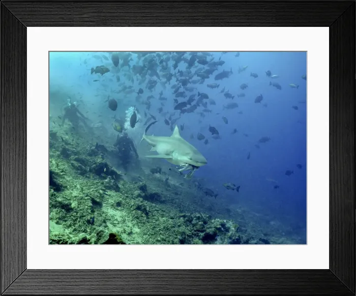 Framed Print : Picture No. 10767593 Framed Print : Picture No. 10767593