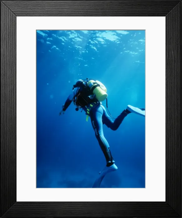 Framed Print : Picture No. 10767428 Framed Print : Picture No. 10767428